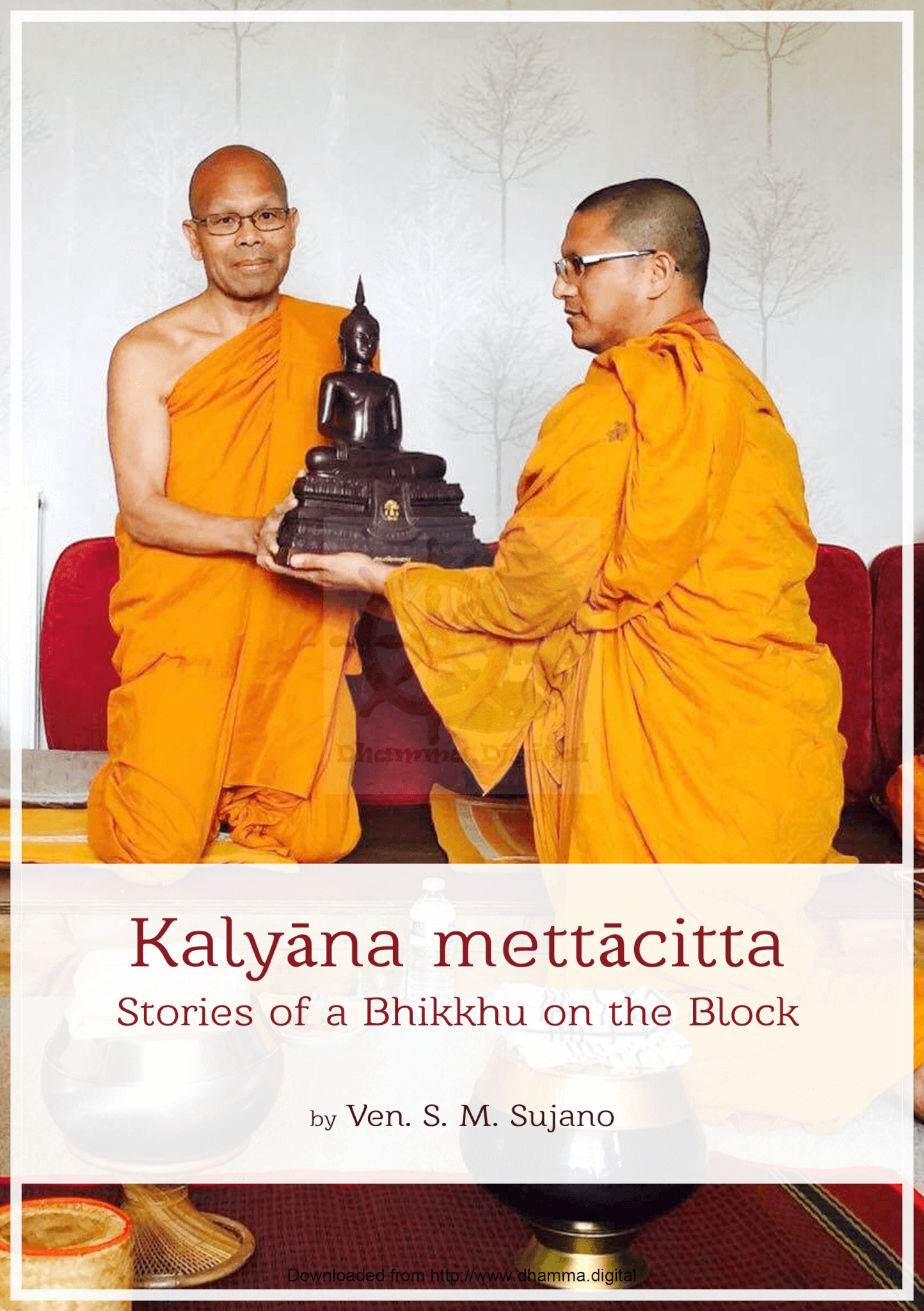 Kalyan Mettacitta Stories of a Bhikkhu on the Block